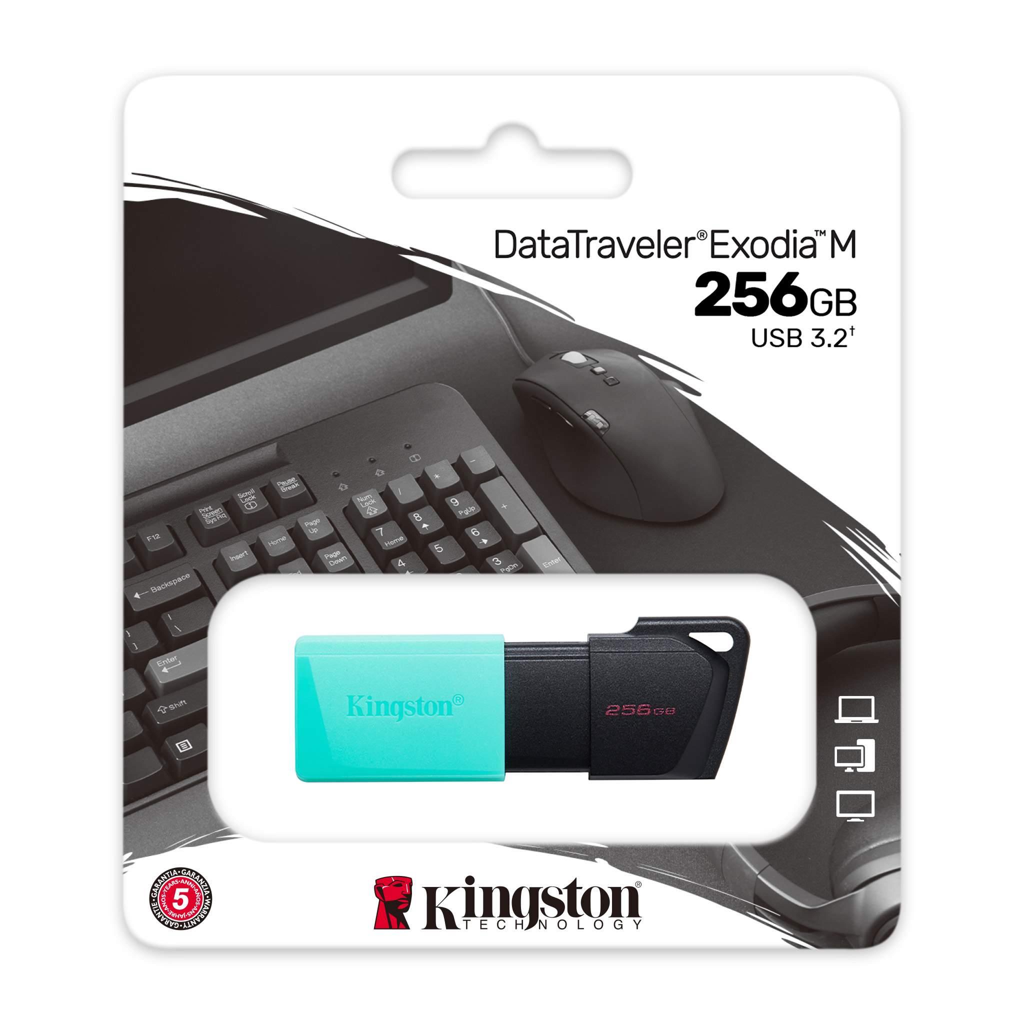 resimler/genel/256 GB KINGSTON EXODIA M USB BELLEK 3.2 DT DTXM/256GB